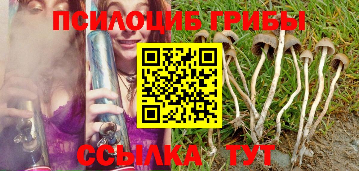 Галлюциногенные грибы Psilocybe  Псилоцибиновые грибы MAGIC MUSHROOMS  купить наркотики цена  Зеленогорск  Вход с VPN 